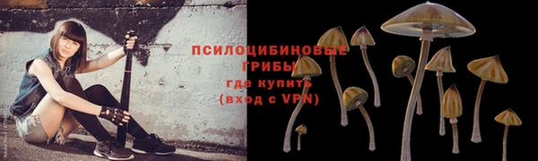 МДПВ Балахна