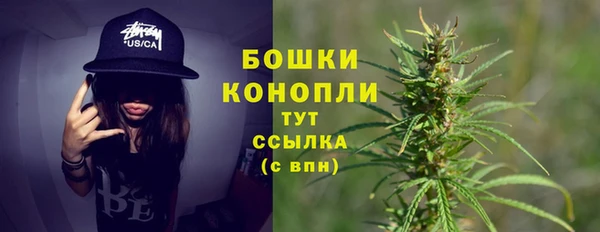 молекула духа Баксан