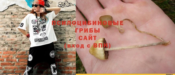 молекула духа Баксан