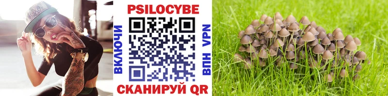 наркотики  Гремячинск  Псилоцибиновые грибы мухоморы 